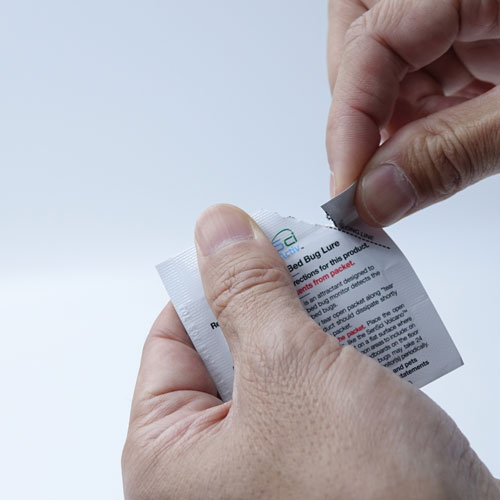 ȥͶĴȥå  Ͷޥåȡ12    к ʹ