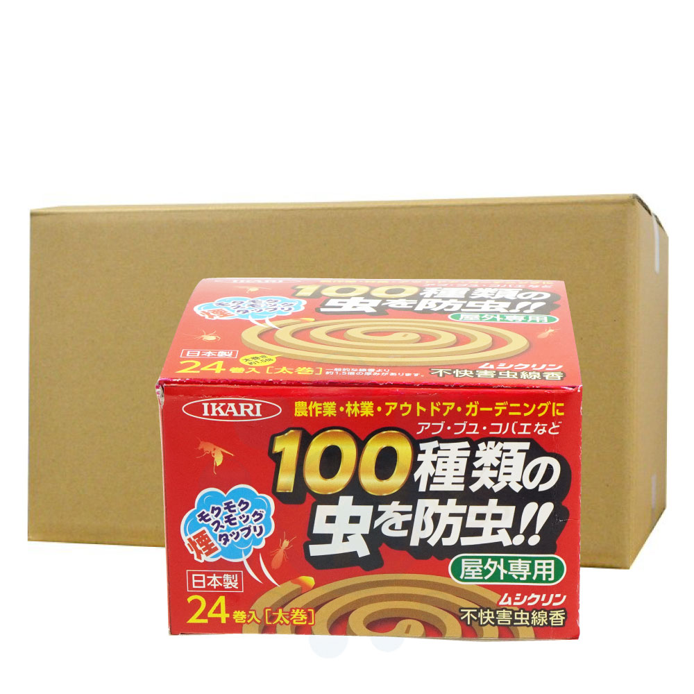 ��������� �ॷ����� �Բ��������� 24����24�� �������� ���� �֥� ���Х� ���� ���󤳤� ��褱 ������