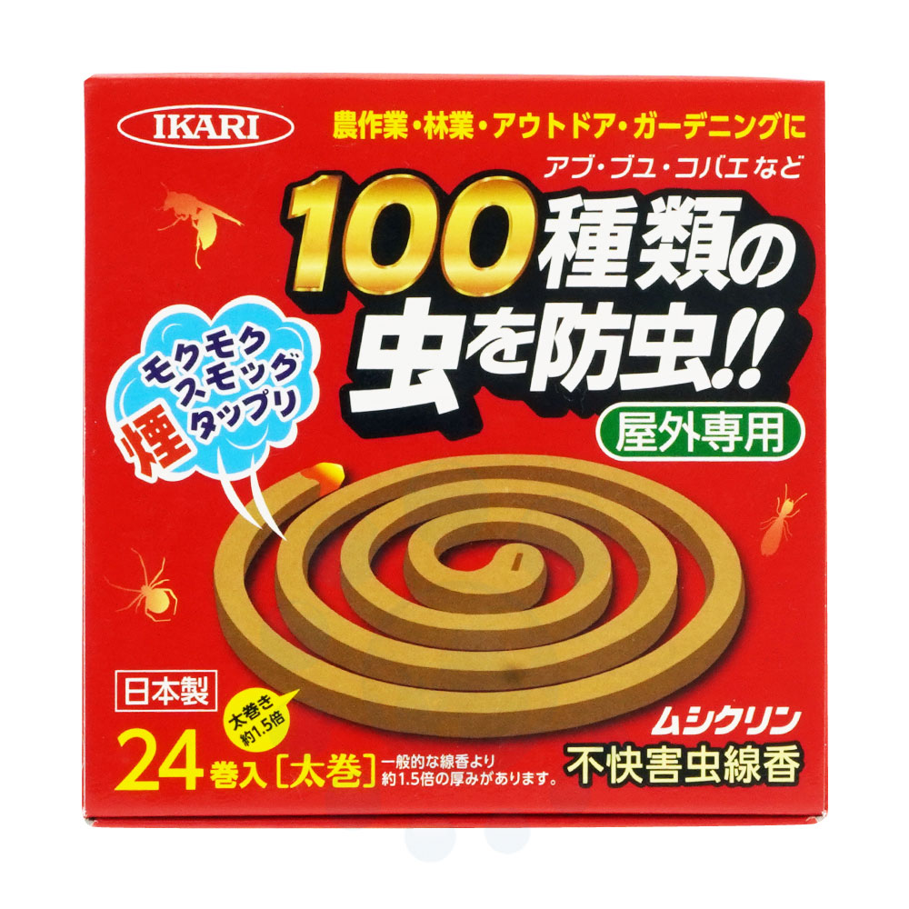 ��������� �ॷ����� �Բ��������� 24����24�� �������� ���� �֥� ���Х� ���� ���󤳤� ��褱 ������