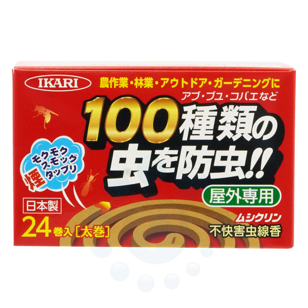 ��������� �ॷ����� �Բ��������� 24����24�� �������� ���� �֥� ���Х� ���� ���󤳤� ��褱 ������