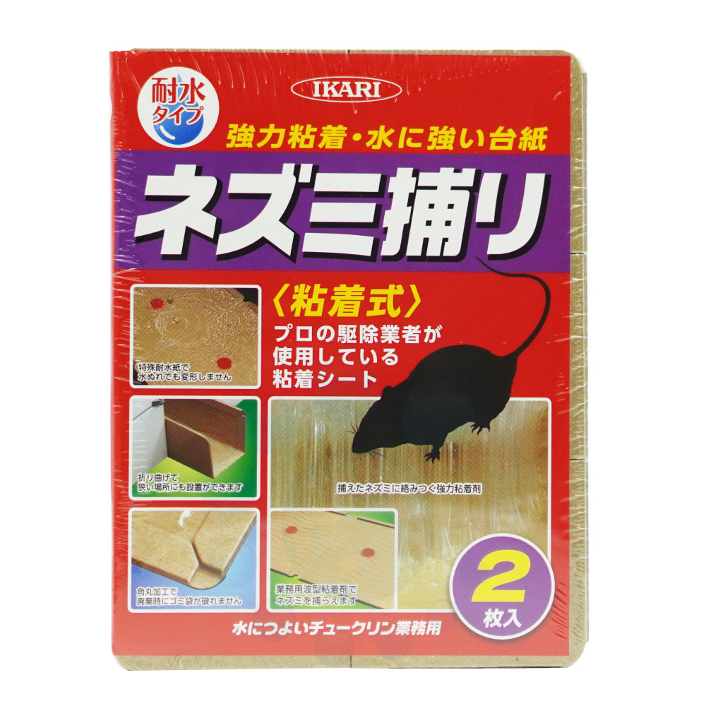 �ͥ���Ǵ�奷���� ��ˤĤ褤���塼������̳�� 2���� �ѿ� ���������