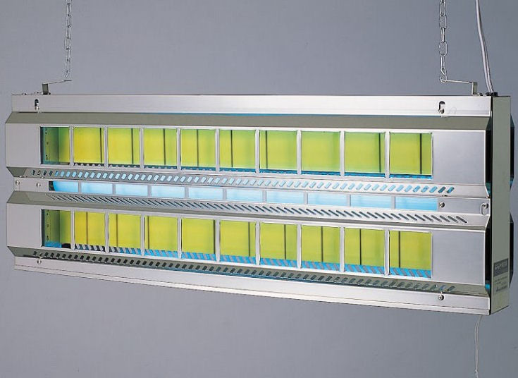 ϥ༣  祦Х 楹ꥫ ԥˡ F-20BG ʹ Ź