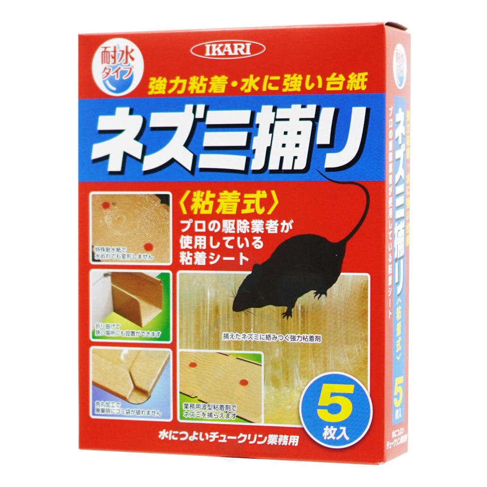 �ͥ���Ǵ�奷���� ��ˤĤ褤���塼������̳�� 5���� �ѿ� ���������