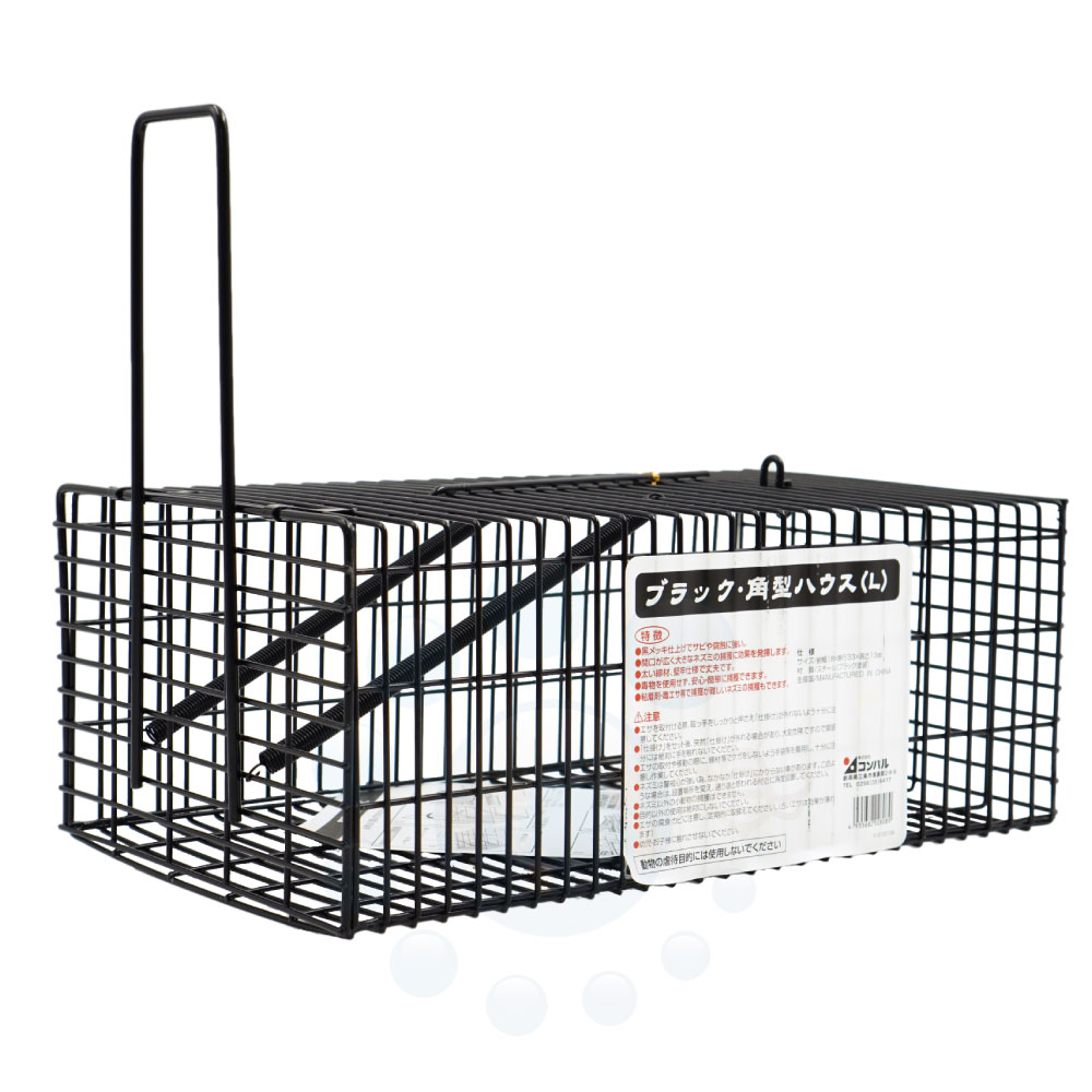 ͥ߶ ֥å ѷϥ L ʹ ͥ ҥѥ