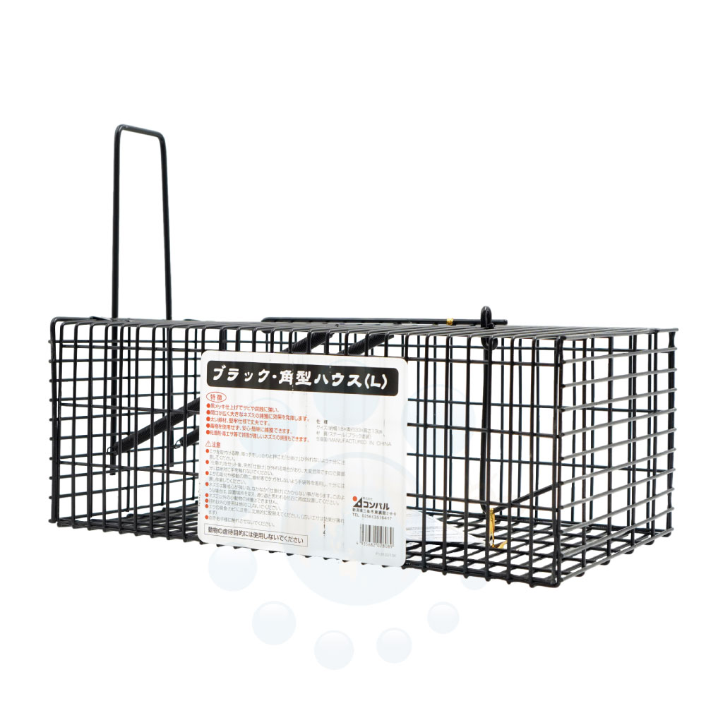 ͥ߶ ֥å ѷϥ L ʹ ͥ ҥѥ