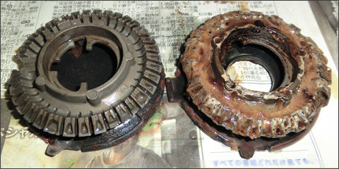 �����Ȥ� �Ѥäȥӥ� 300g��3�� [20029]