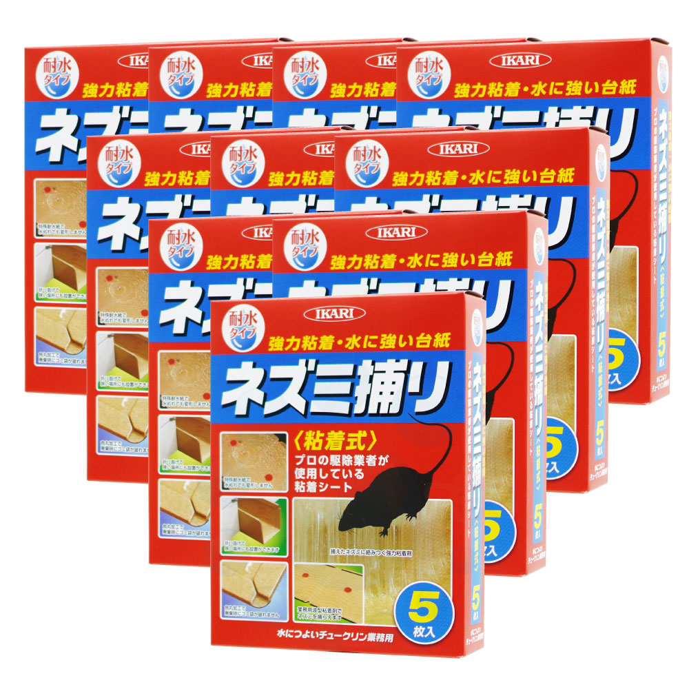 ͥǴ奷 ˤĤ褤塼̳ 510 ѿ 