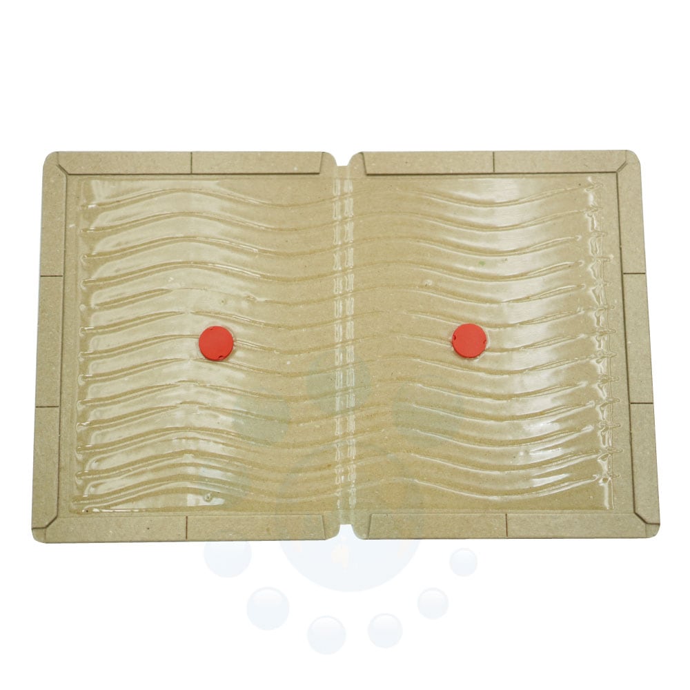 ͥǴ奷 ˤĤ褤塼̳ 510 ѿ 