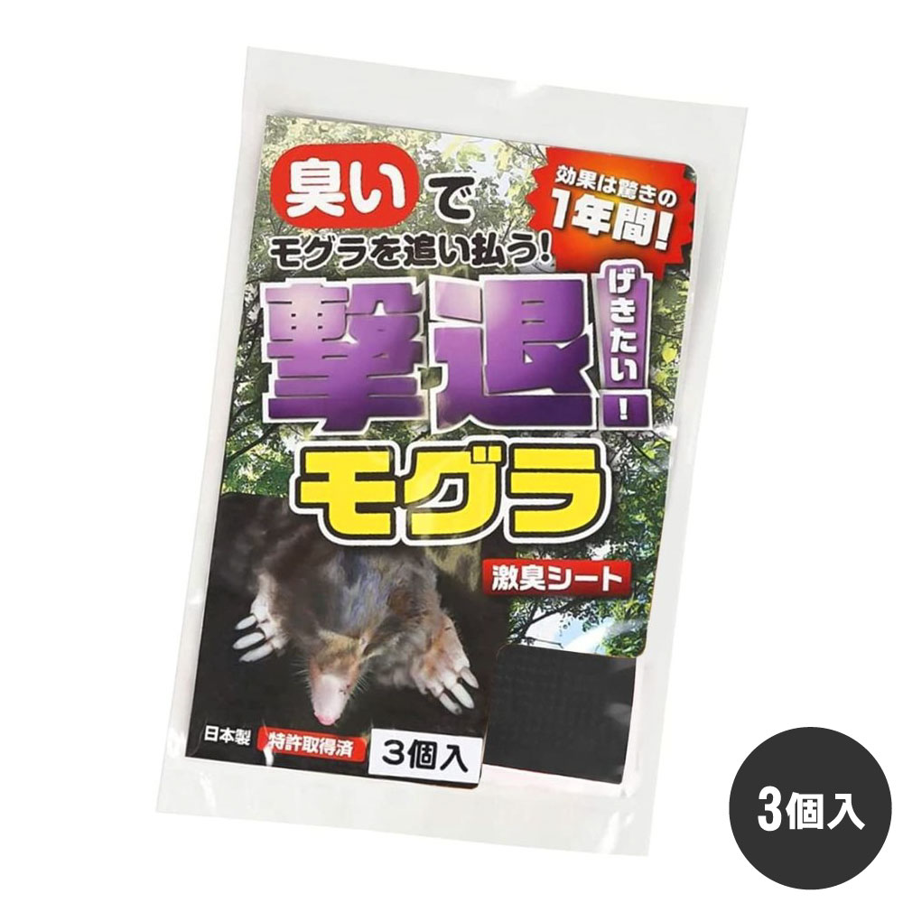 ⥰к ⥰ 3 ڤ椦ѥåб ⤰ ε   Ȫ  ɽ ɷ㽭 ñ ŷʪ