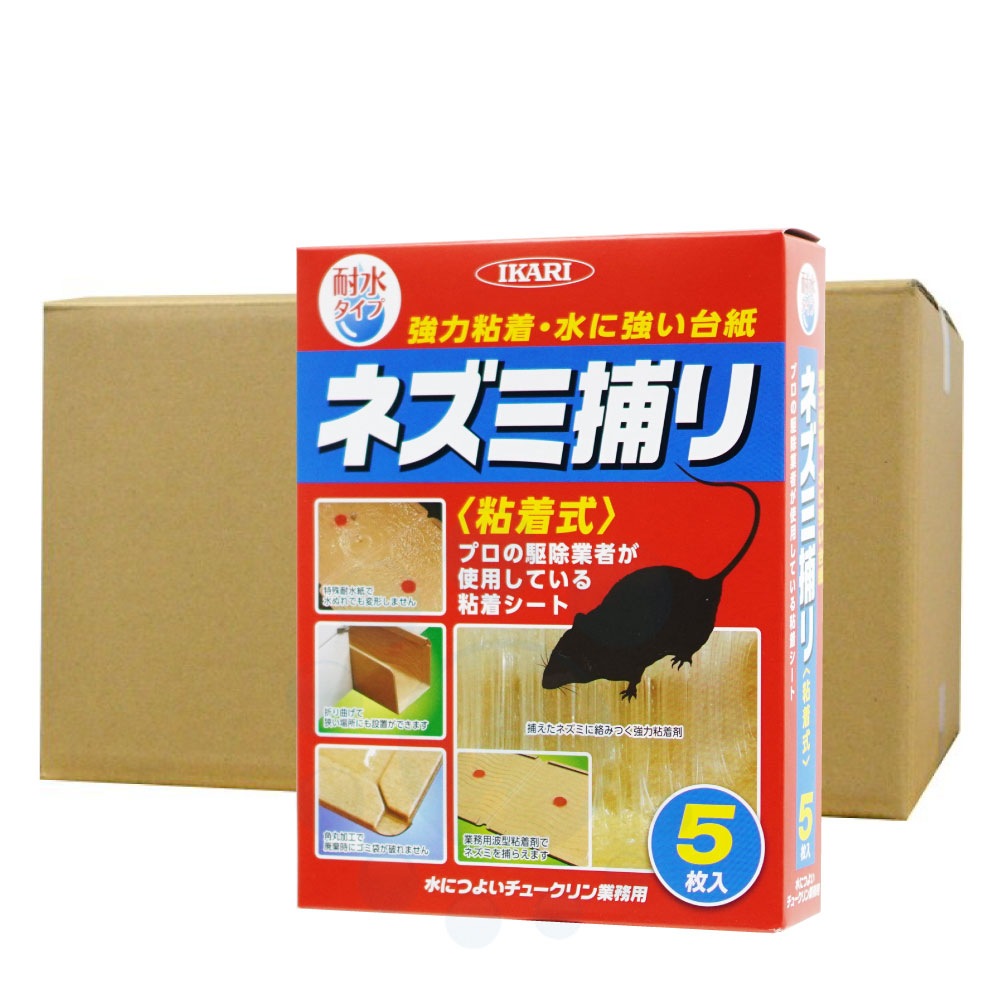 ͥǴ奷 ˤĤ褤塼̳ 520 ѿ 