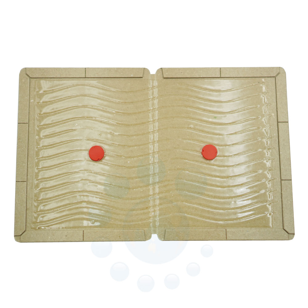 ͥǴ奷 ˤĤ褤塼̳ 520 ѿ 