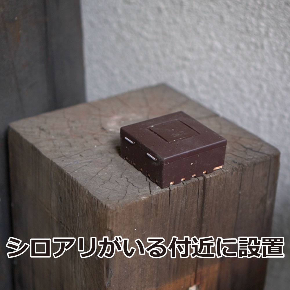 ϥ󥿡 1512Ȣ äƵä㤴Ⱦ 򤢤 򥢥  