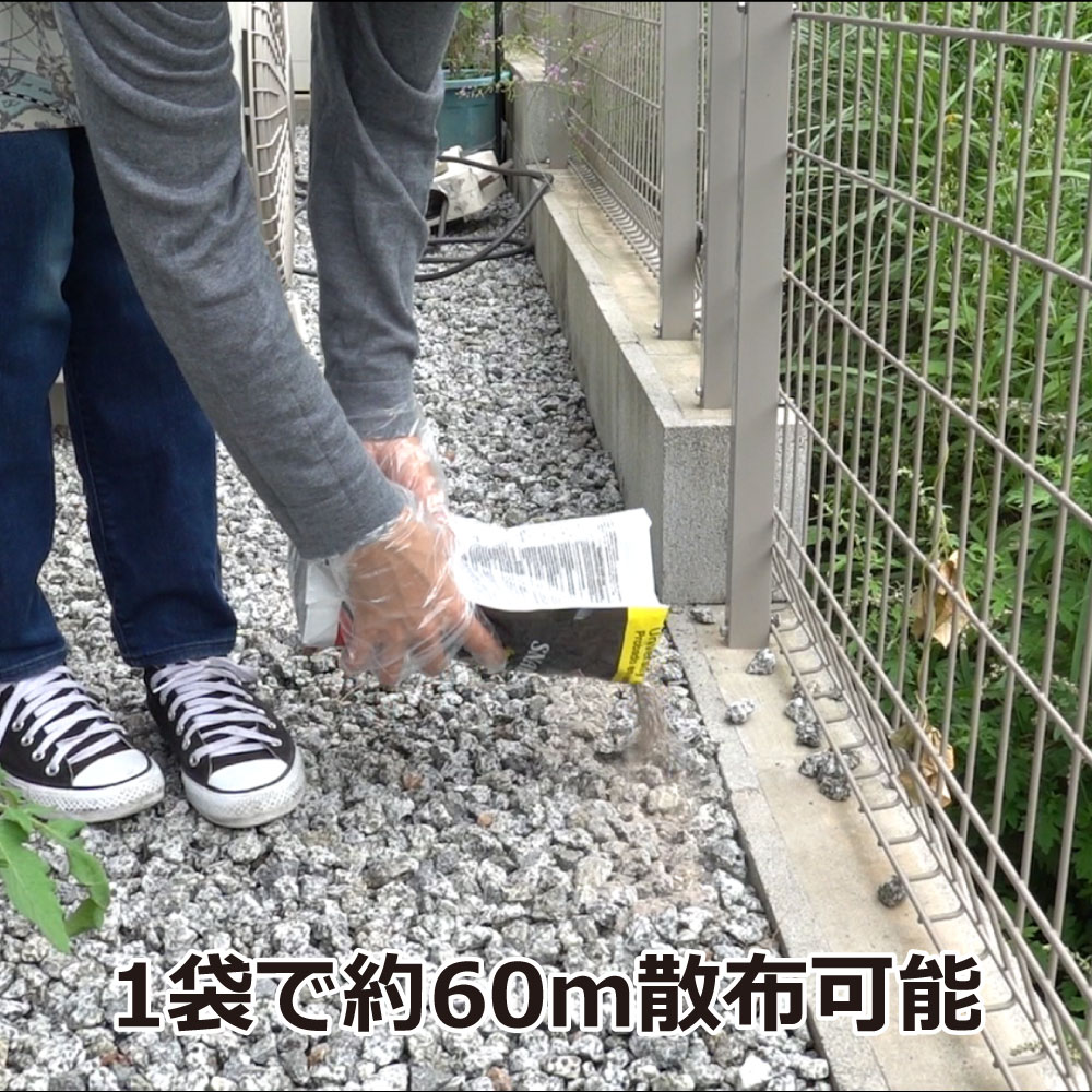  ͡ 1.8kg6 ڼءʥإӡ ޡ