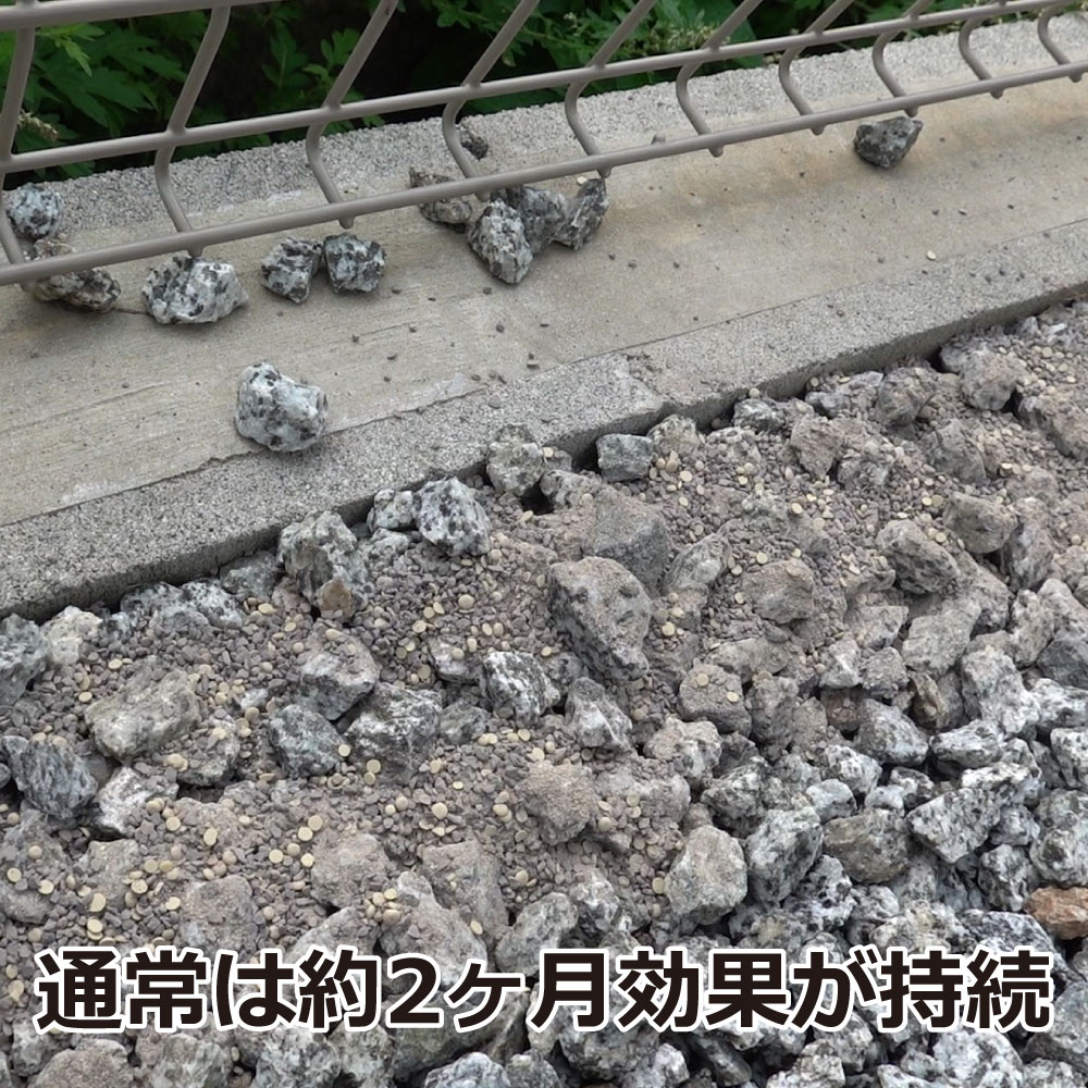  ͡ 1.8kg6 ڼءʥإӡ ޡ