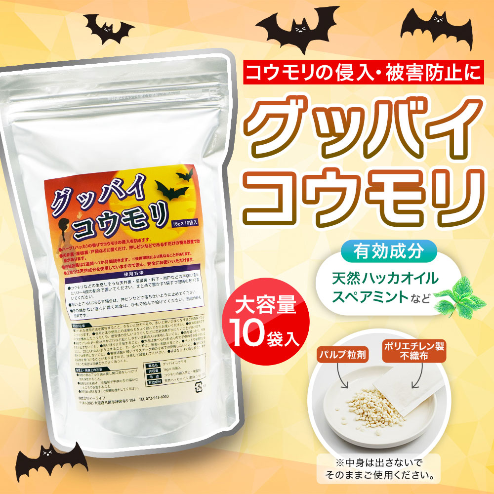 åХ 16g10  ϥå ɻ ŷʬ