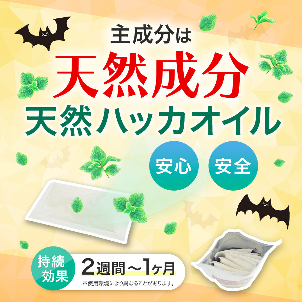 åХ 16g10  ϥå ɻ ŷʬ