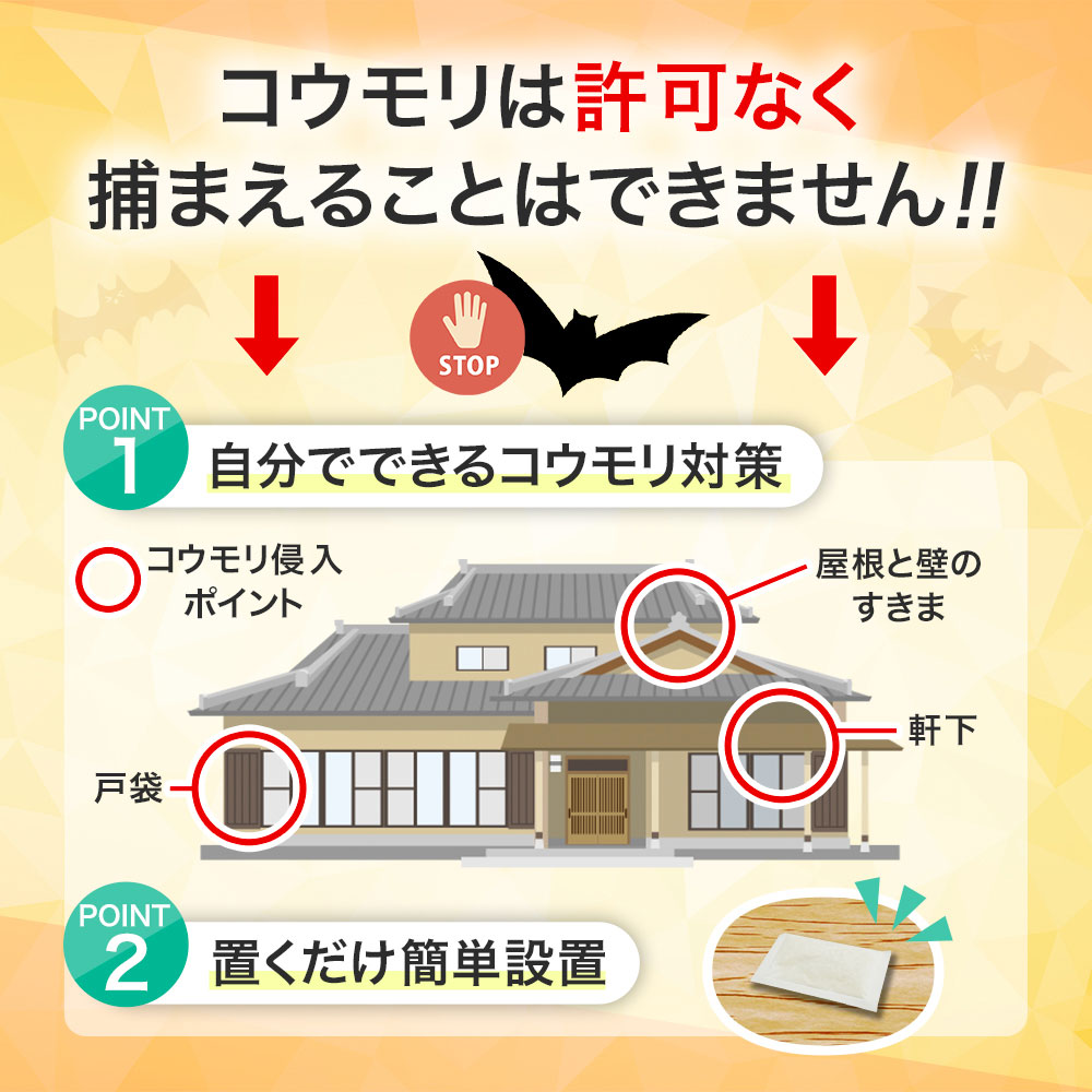 åХ 16g10  ϥå ɻ ŷʬ