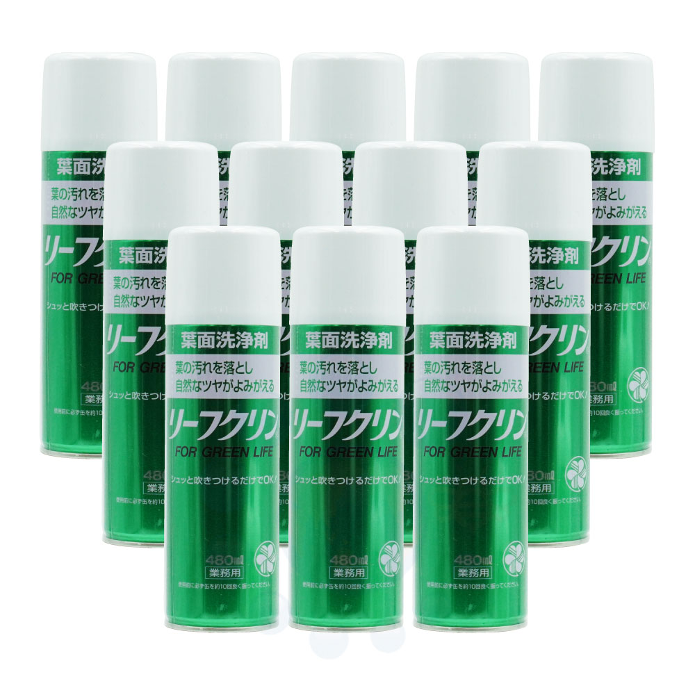 ��ͧ���ر�� �꡼�ե�����̳�� 480ml��12�� ����������