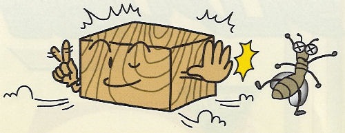 ������������ ���� �ɥ��� �����ѡ����������༣ ���ꥢ�� 4L��2�� �����ں��ɵ������ ���ߥץ�����