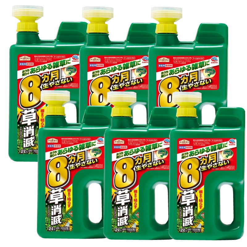 �����������ǥ� ���������ޥ��饺 ����� ���祦���إå� 2L��6�� ���� ���ϴ�����