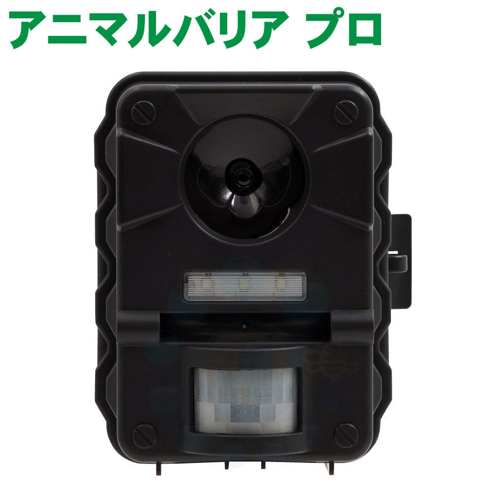 ǭ褱 ˥ޥХꥢPRO ץ ͥк Ķ  ͤ褱 ǭ  ǥﳲ ʵǢ ־ 졼 Ȫ ϤĶȤȥեå饤Ȥǥͥդޤ