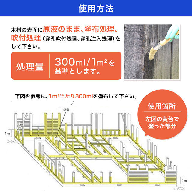   򥢥ꥹѡ21 㽭  2.5L