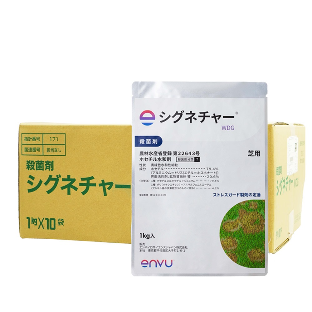 ѻݺ ͥ㡼 WDG 1kg10  ȥ쥹  μ ٥ȥ饹 ־ ԥ ۥº