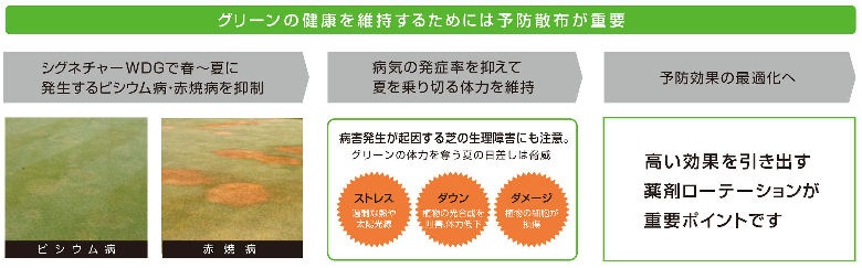 ѻݺ ͥ㡼 WDG 1kg10  ȥ쥹  μ ٥ȥ饹 ־ ԥ ۥº