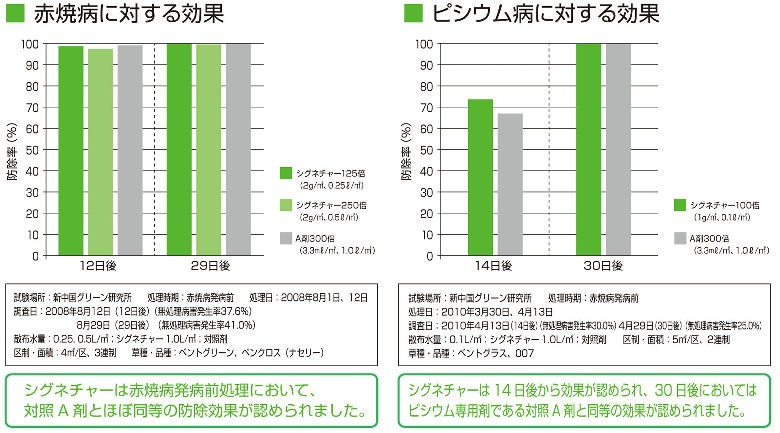 ѻݺ ͥ㡼 WDG 1kg10  ȥ쥹  μ ٥ȥ饹 ־ ԥ ۥº