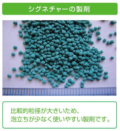 ѻݺ ͥ㡼 WDG 1kg10  ȥ쥹  μ ٥ȥ饹 ־ ԥ ۥº