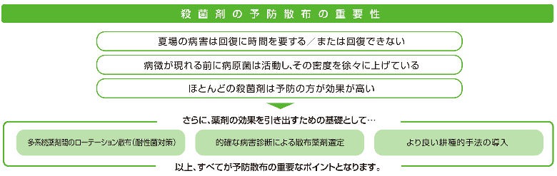 ѻݺ ͥ㡼 WDG 1kg10  ȥ쥹  μ ٥ȥ饹 ־ ԥ ۥº