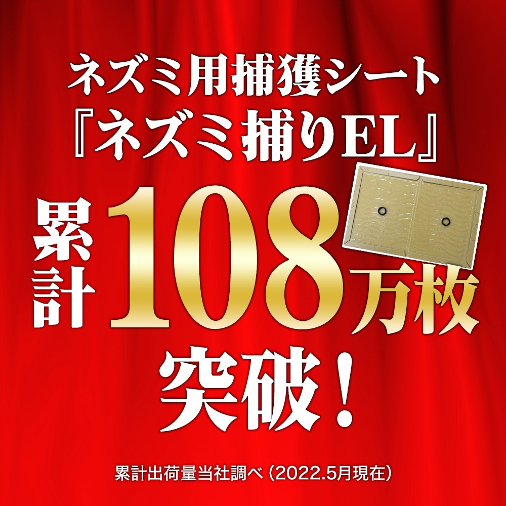 ͥǴ ̳ ͥ EL 100 ϥ ͤǴ奷 Ͷ Ȥ ༣