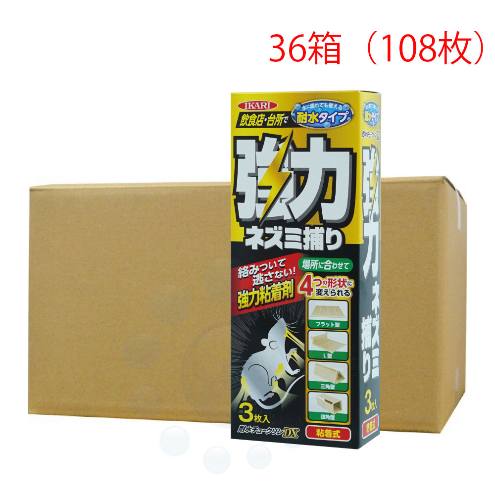 ���ϥͥ������ �ѿ���塼�����DX 3���� 36Ȣ���å� �ѿ奿���� ����Ǵ���