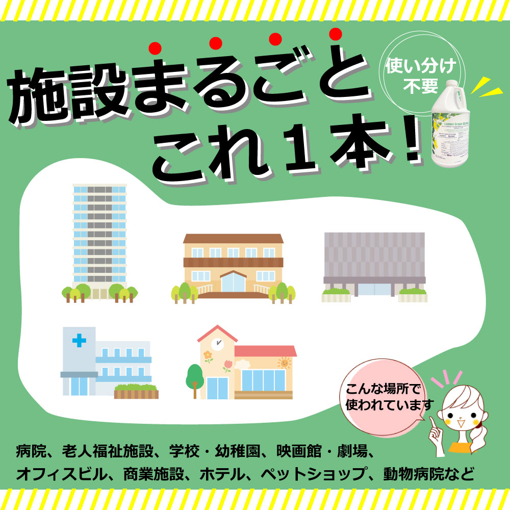  󥰥꡼DD 3.78L ڽ  ¿Ū ޡ