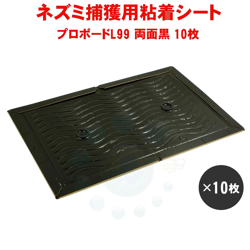 �ץ��ܡ���L99 ξ�̹� 10���� Ǵ�奷���� ���˪����� �ϥ���ͻ�