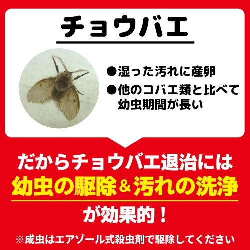 2Ȣ㤨Хץ쥼դ 祦ХХ 10/Ȣ2Ȣ 祦Х༣ Х к