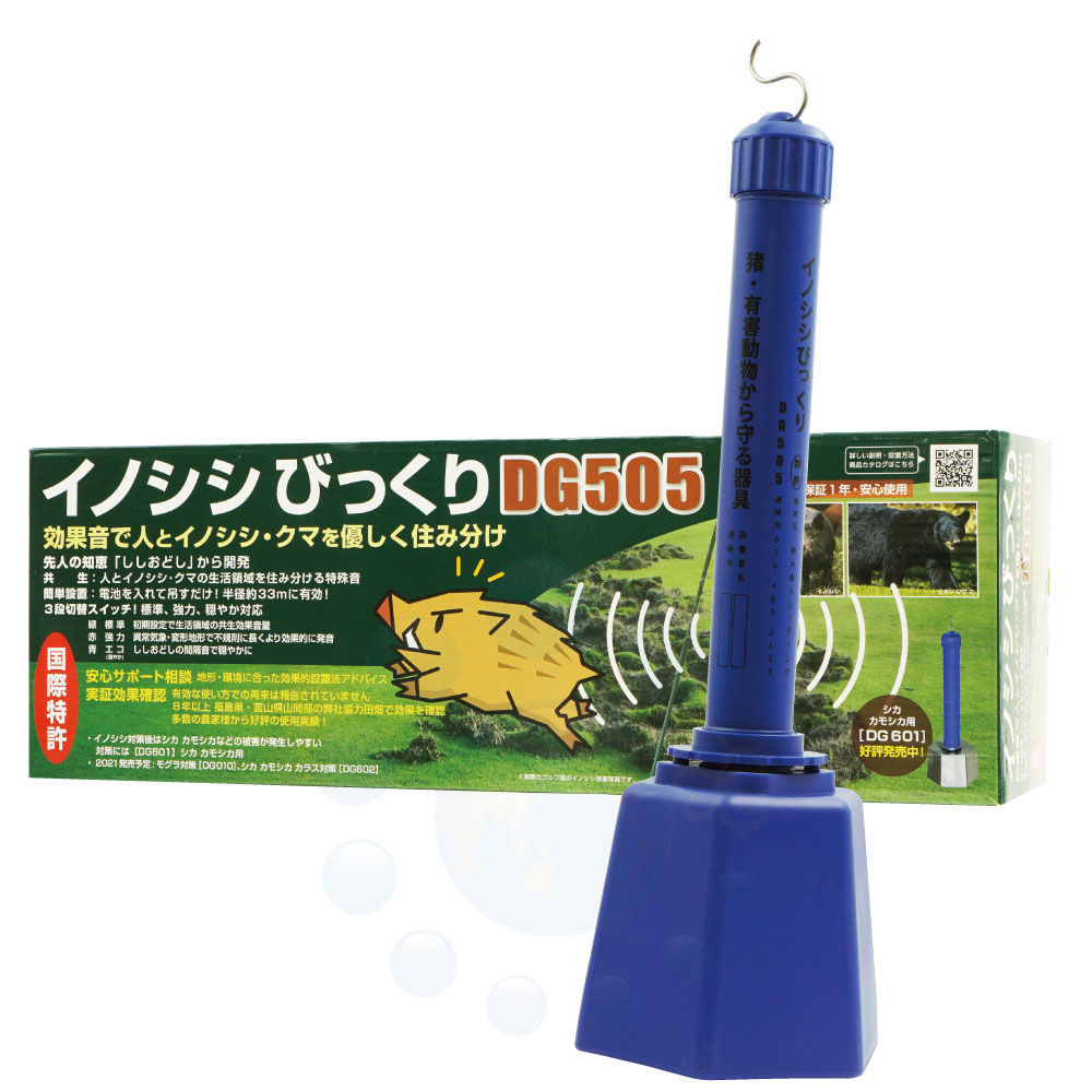 Υк ΥӤäꥻå DG505  Ӥʤ    к Ȫ ̼ վ ʪﳲк