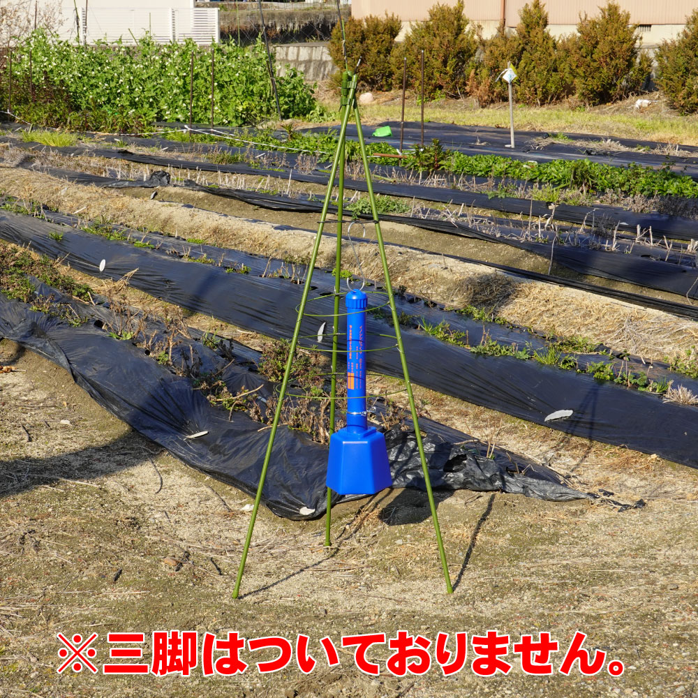 Υк ΥӤäꥻå DG505  Ӥʤ    к Ȫ ̼ վ ʪﳲк