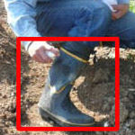 ҥ벼Υˡ ͤؤ200ml3 ҥ ޥӥ