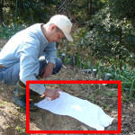 ҥ벼Υˡ ͤؤ200ml3 ҥ ޥӥ