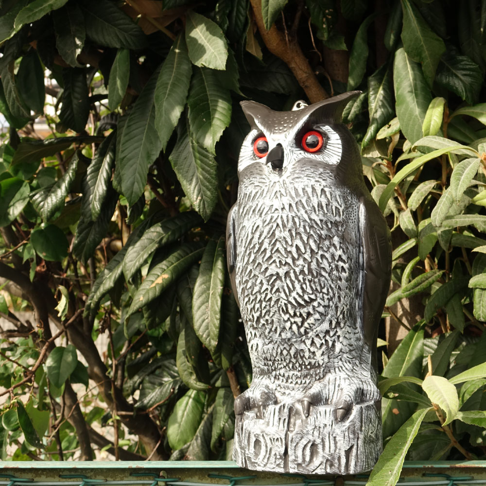 ŷŨ˥ դ TTN-F2  դ ޥͥ Ļɻߵ