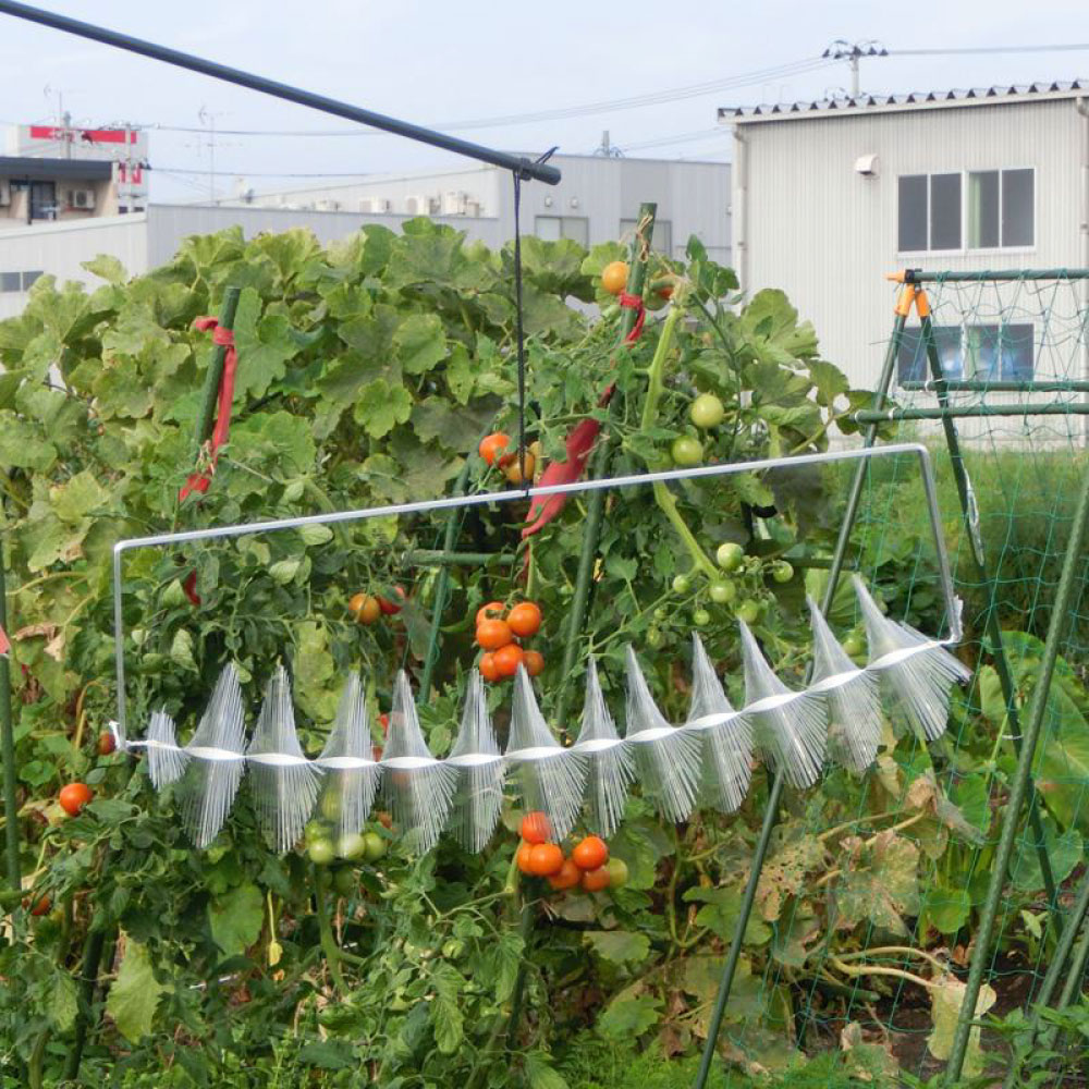 ���饹�褱 ���५�饹 �ե졼���� 45cm �� �ﳲ Ļ�� �к� ���� ���� �к����å� �����֤��� �٥��� ��