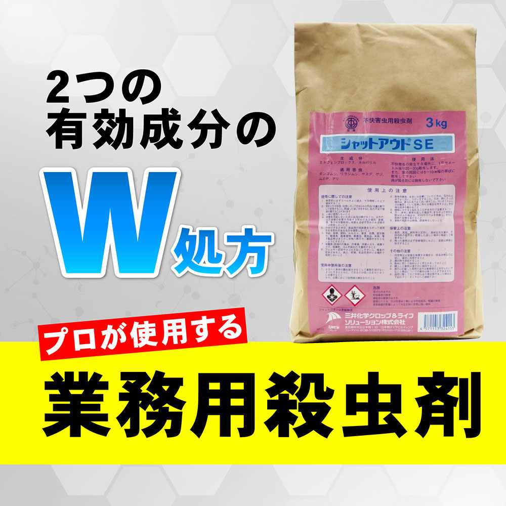 ����åȥ�����SE 3kg��4�� ���㤤���ʥ���������