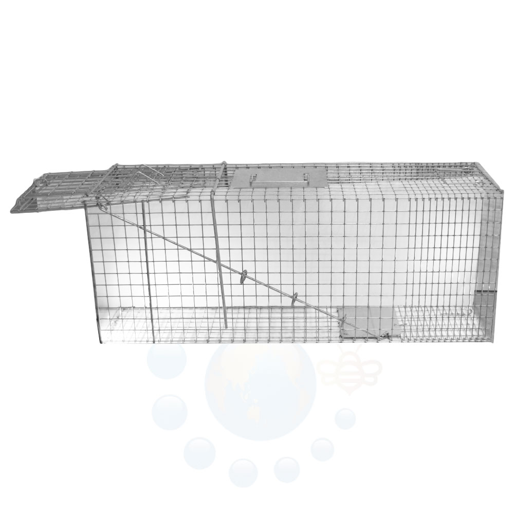 ��ʹ� ���˥ޥ�ȥ�å� MODEL �ͥ�220 �淿ưʪ�� �ҳ����� Ƨ�ļ� ���饤���� �ϥ��ӥ��� ���ʥ��� �Υ����� �Υͥ� �ߥ� ������ ���������Ʊ���Բġ�