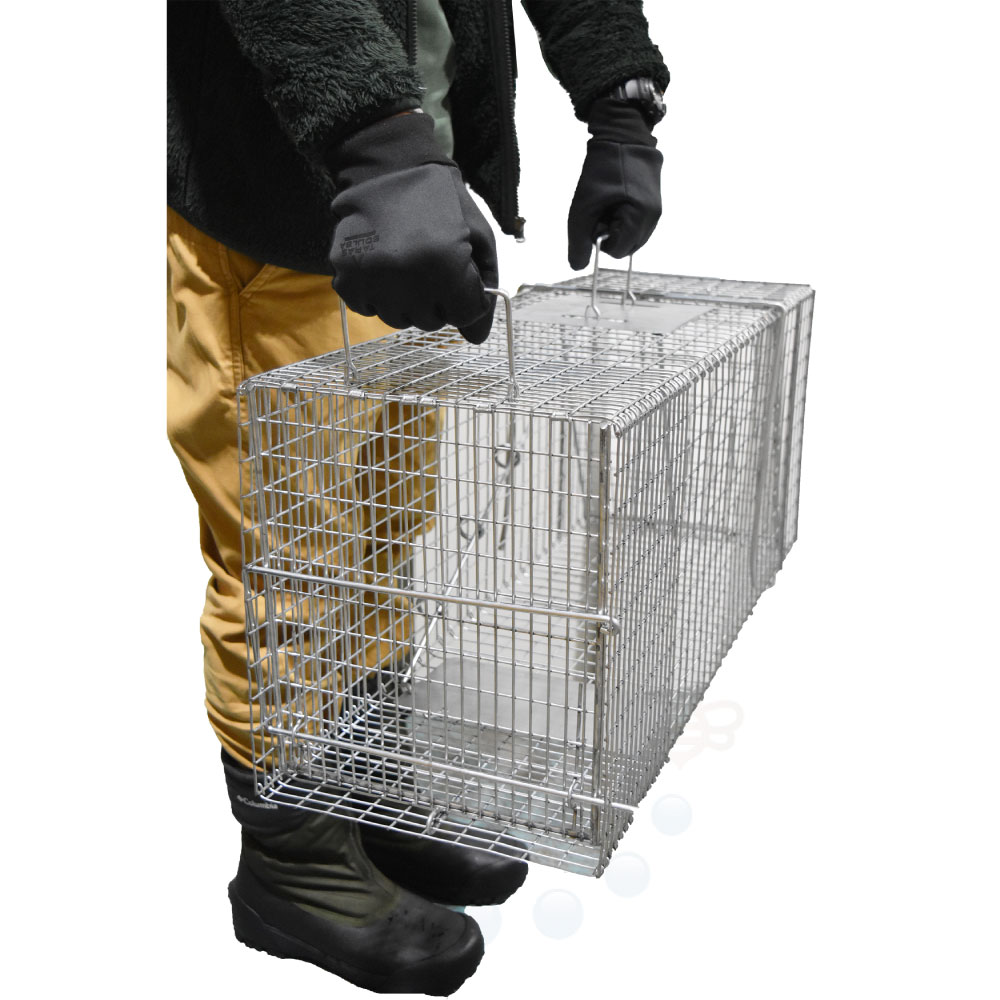 ��ʹ� ���˥ޥ�ȥ�å� MODEL �ͥ�220 �淿ưʪ�� �ҳ����� Ƨ�ļ� ���饤���� �ϥ��ӥ��� ���ʥ��� �Υ����� �Υͥ� �ߥ� ������ ���������Ʊ���Բġ�