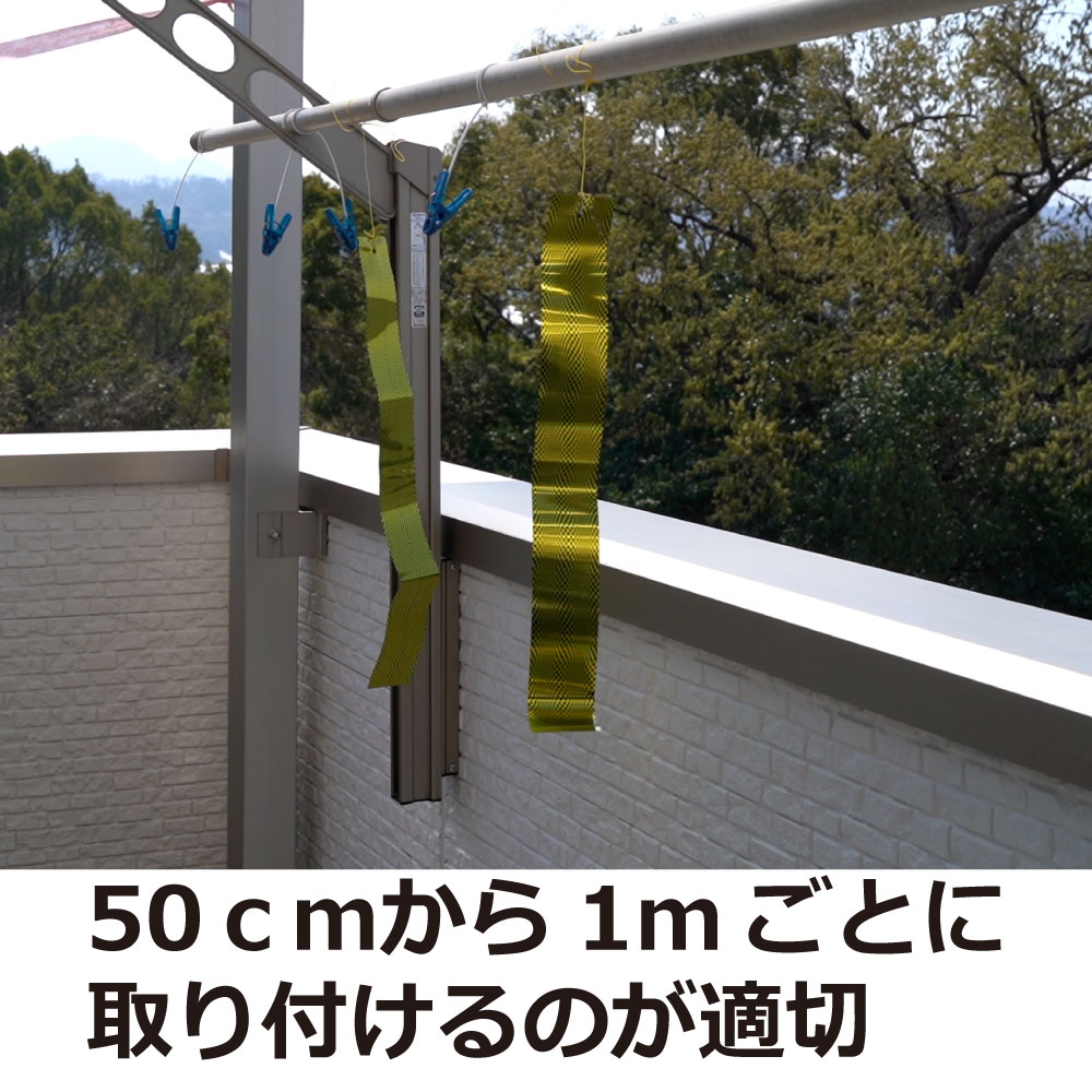 ڤ椦ѥåб275ߡĻ褱ե إӥ 5 Ļɻ ȷ  к