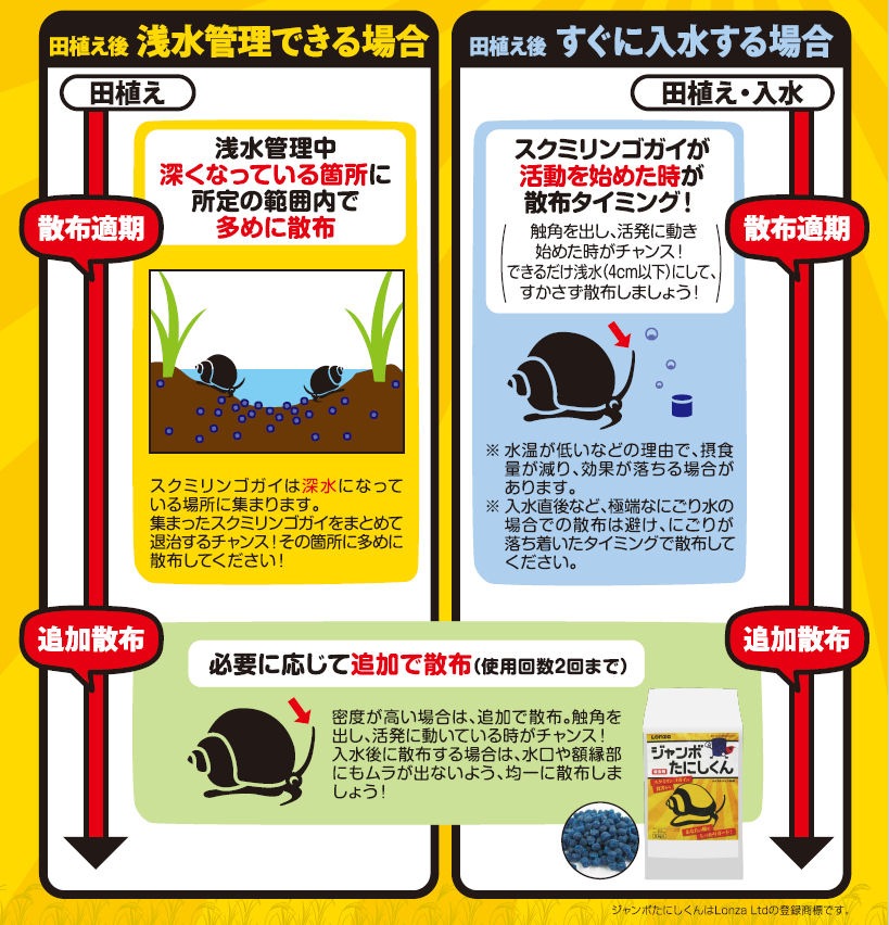 �����ܥ��˥��ɽ��� �����ܤ��ˤ����� 2kg ���� ����� ����� �᥿����ǥҥ�γ�� �� �ﳲ �����ɻ�