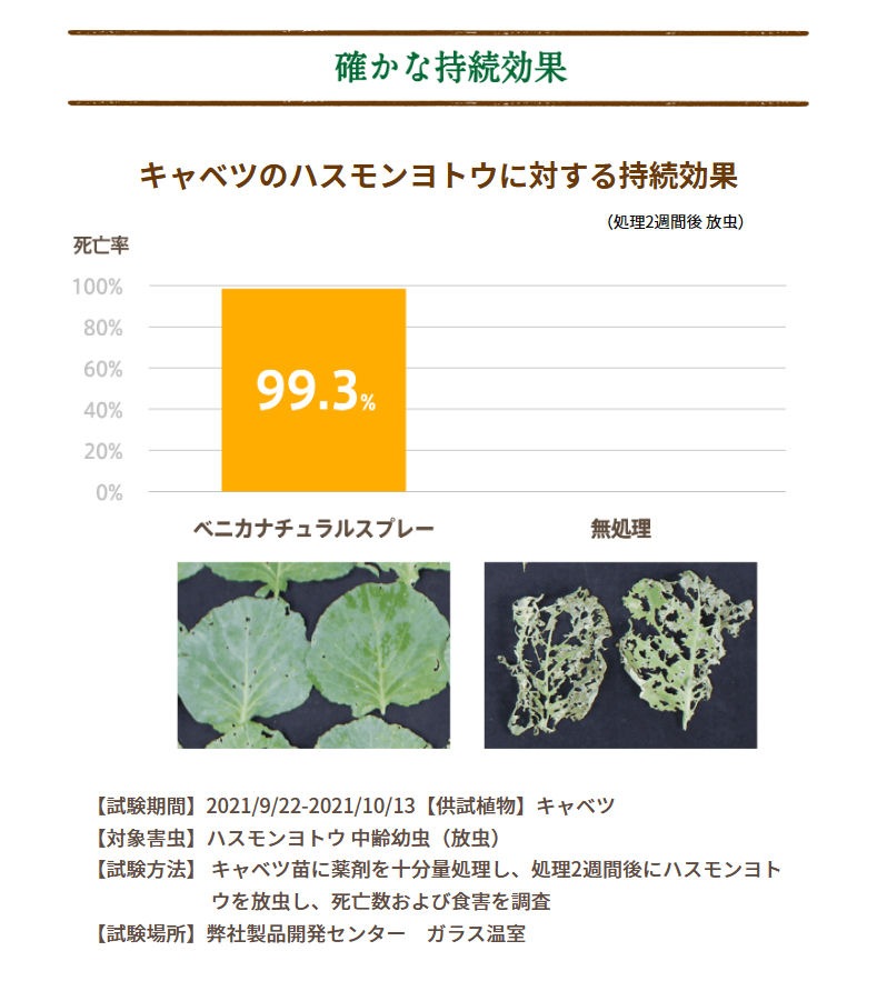 ��ͧ���ر�� �٥˥��ʥ����륹�ץ졼 1000ml��3�� �����ॷ �༣ ���ॷ ��ȥ��ॷ ���ɤ���