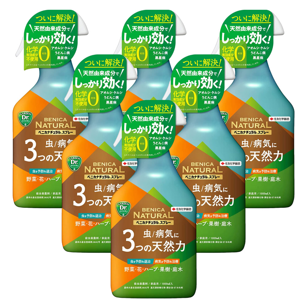 ͧر ٥˥ʥ륹ץ졼 1000ml6 ॷ ༣ ॷ ȥॷ ɤ