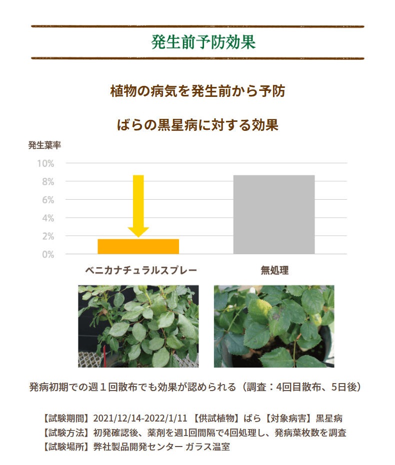 ͧر ٥˥ʥ륹ץ졼 1000ml6 ॷ ༣ ॷ ȥॷ ɤ